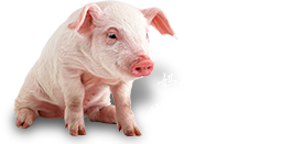 河南艾特貝畜牧機(jī)械有限公司